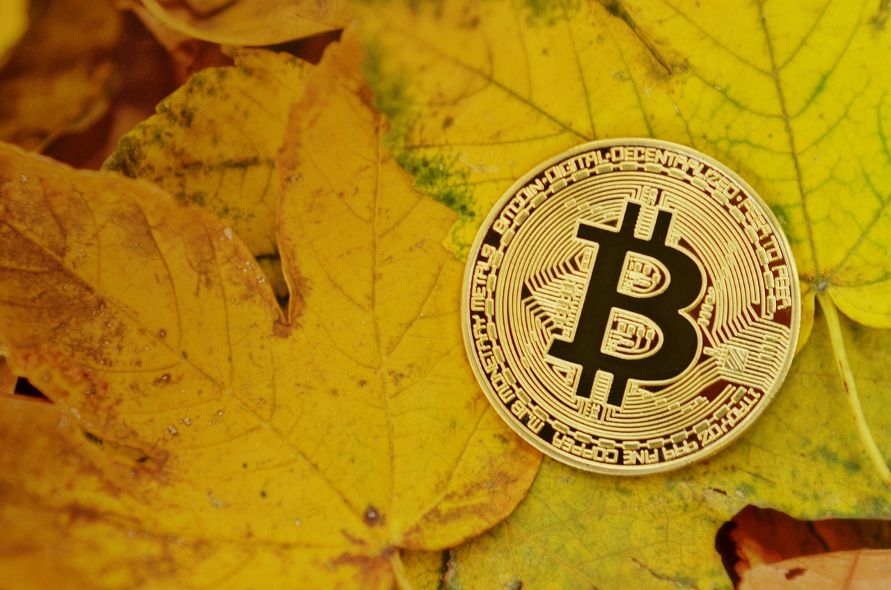 FxPro分析师Alex Kuptsikevich：数据显示XRP、SOL、ADA展现出技术面强势讯号